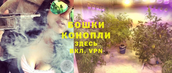 PSILOCYBIN Балахна