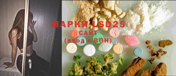 PSILOCYBIN Балахна