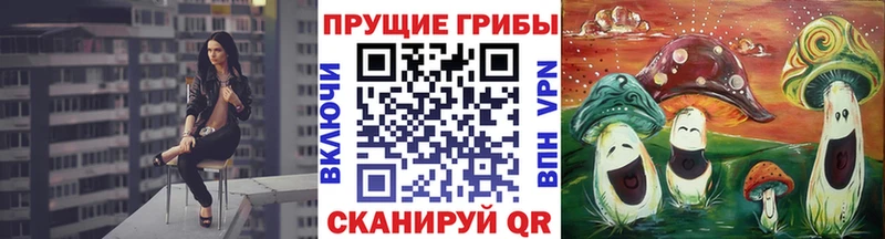 Галлюциногенные грибы MAGIC MUSHROOMS  как найти   Заозёрный 
