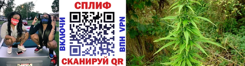 блэк спрут ONION  купить наркотик  Заозёрный  Каннабис ГИДРОПОН 